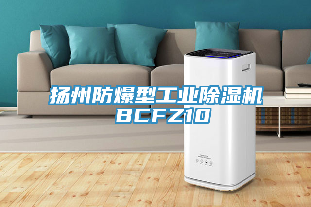 揚州防爆型工業91看片软件大全 BCFZ10