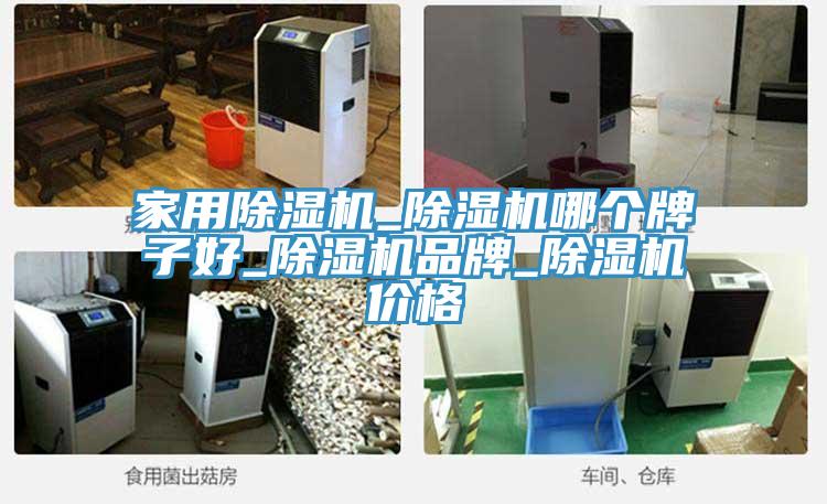 家用91看片软件大全_91看片软件大全哪個牌子好_91看片软件大全品牌_91看片软件大全價格