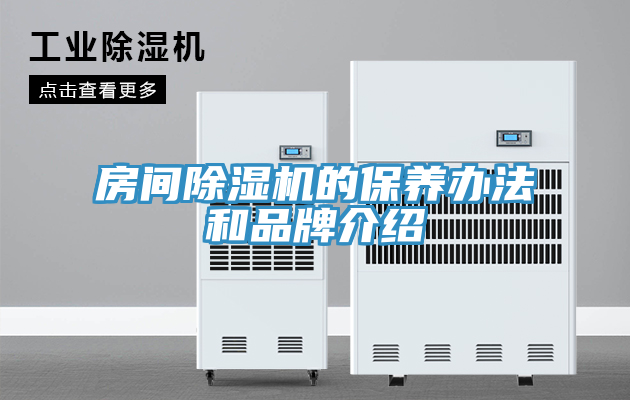 房間91看片软件大全的保養辦法和品牌介紹