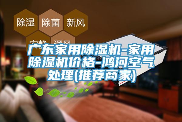 廣東家用91看片软件大全-家用91看片软件大全價格-鴻河空氣處理(推薦商家)