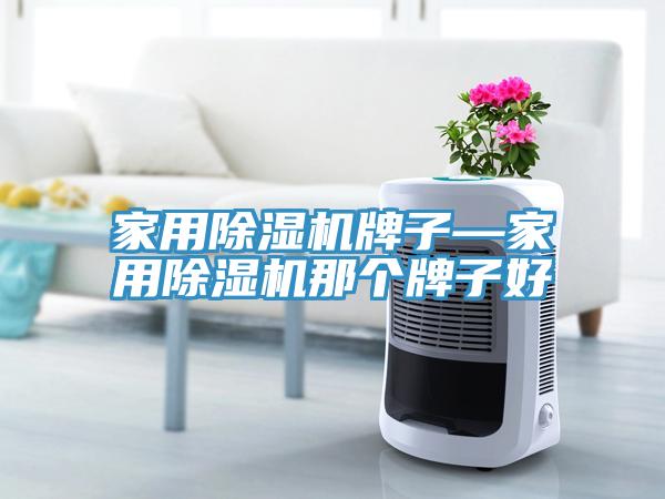 家用91看片软件大全牌子—家用91看片软件大全那個牌子好