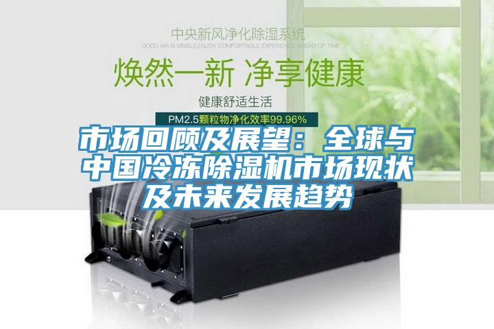 市場回顧及展望：全球與中國冷凍91看片软件大全市場現狀及未來發展趨勢