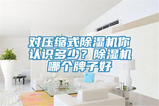 對壓縮式91看片软件大全你認識多少？91看片软件大全哪個牌子好