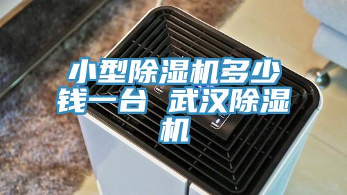 小型91看片软件大全多少錢一台 武漢91看片软件大全