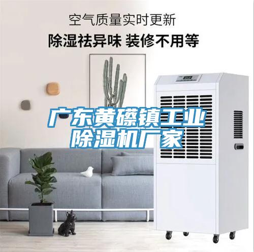 廣東黃礤鎮工業91看片软件大全廠家