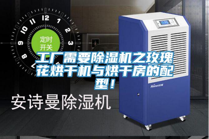 工廠需要91看片软件大全之玫瑰花烘幹機與烘幹房的配型！