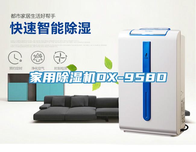 家用91看片软件大全DX-958D