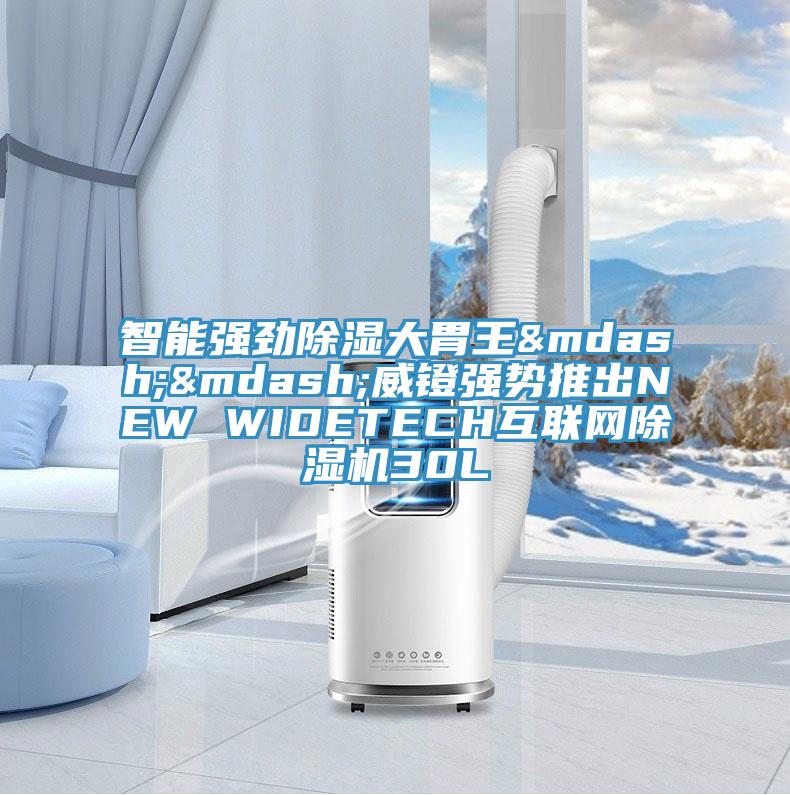 智能強勁除濕大胃王——威鐙強勢推出NEW WIDETECH互聯網91看片软件大全30L