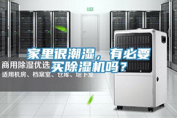 家裏很潮濕，有必要買91看片软件大全嗎？