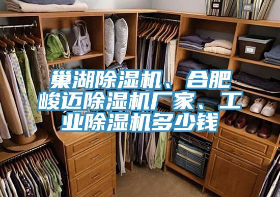 巢湖91看片软件大全、合肥峻邁91看片软件大全廠家、工業91看片软件大全多少錢