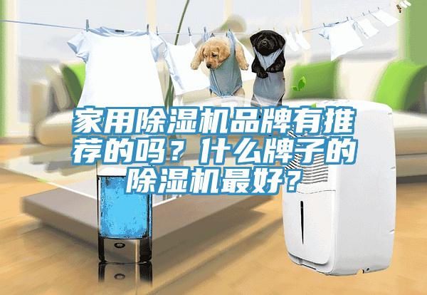 家用91看片软件大全品牌有推薦的嗎？什麽牌子的91看片软件大全最好？