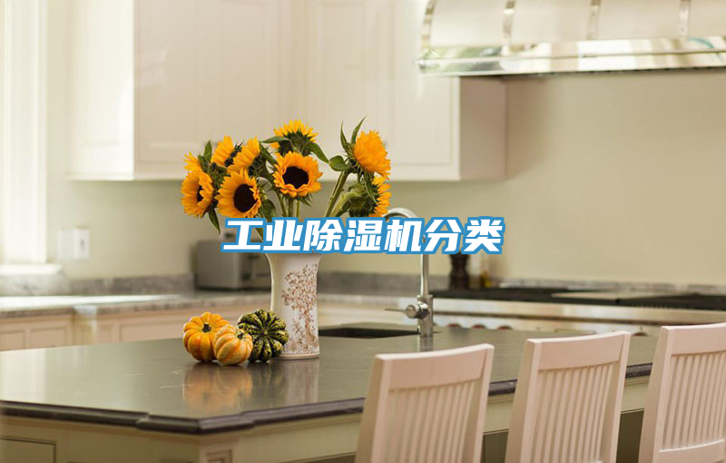 工業91看片软件大全分類