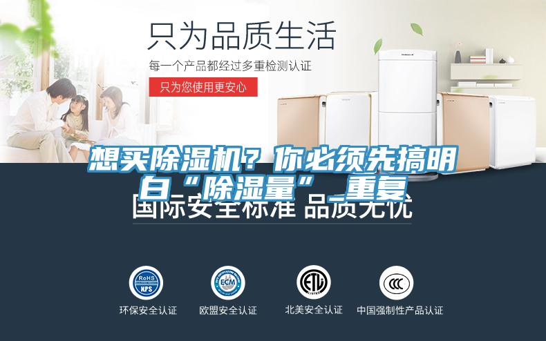 想買91看片软件大全？你必須先搞明白“除濕量”_重複