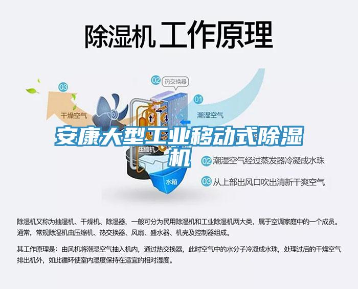 安康大型工業移動式91看片软件大全