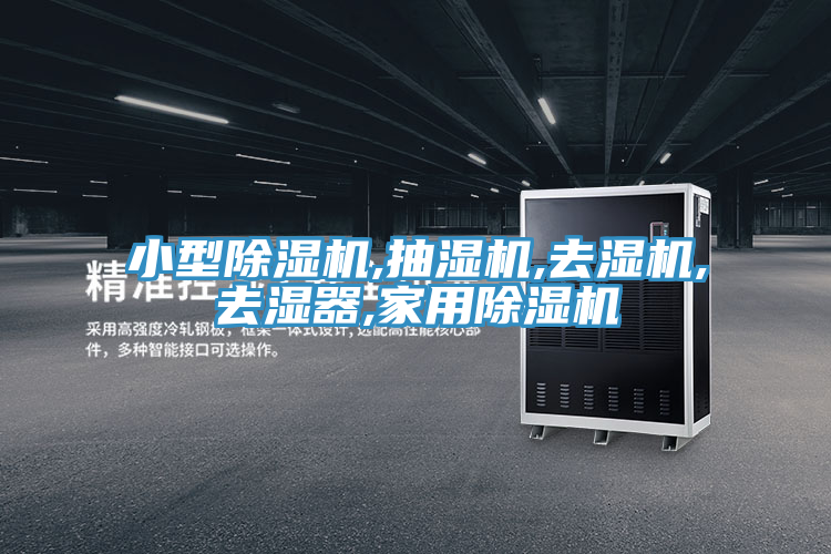 小型91看片软件大全,抽濕機,去濕機,去濕器,家用91看片软件大全