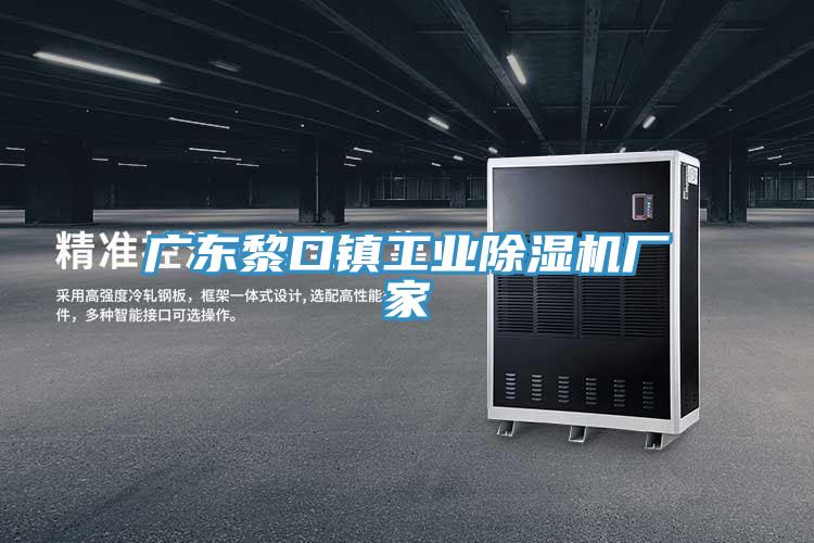 廣東黎口鎮工業91看片软件大全廠家