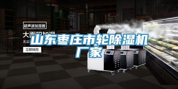 山東棗莊市輪91看片软件大全廠家