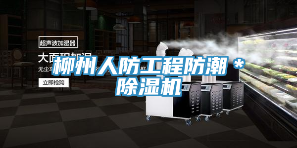 柳州人防工程防潮＊91看片软件大全