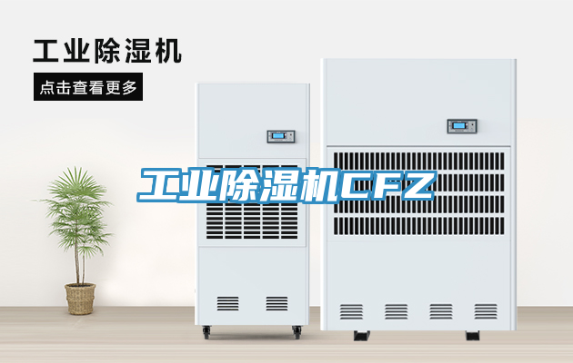 工業91看片软件大全CFZ