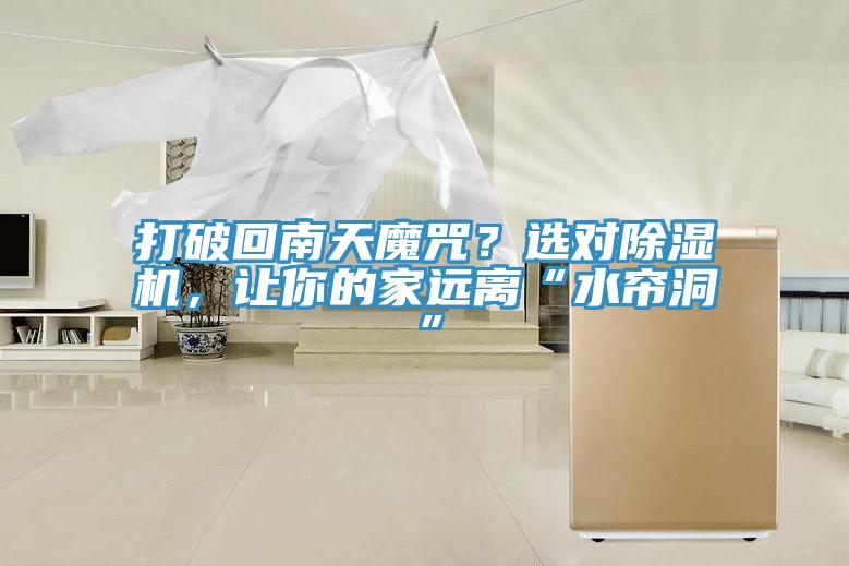 打破回南天魔咒？選對91看片软件大全，讓你的家遠離“水簾洞”