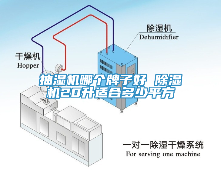 抽濕機哪個牌子好 91看片软件大全20升適合多少平方