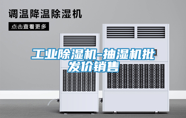 工業91看片软件大全-抽濕機批發價銷售