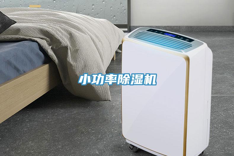 小功率91看片软件大全