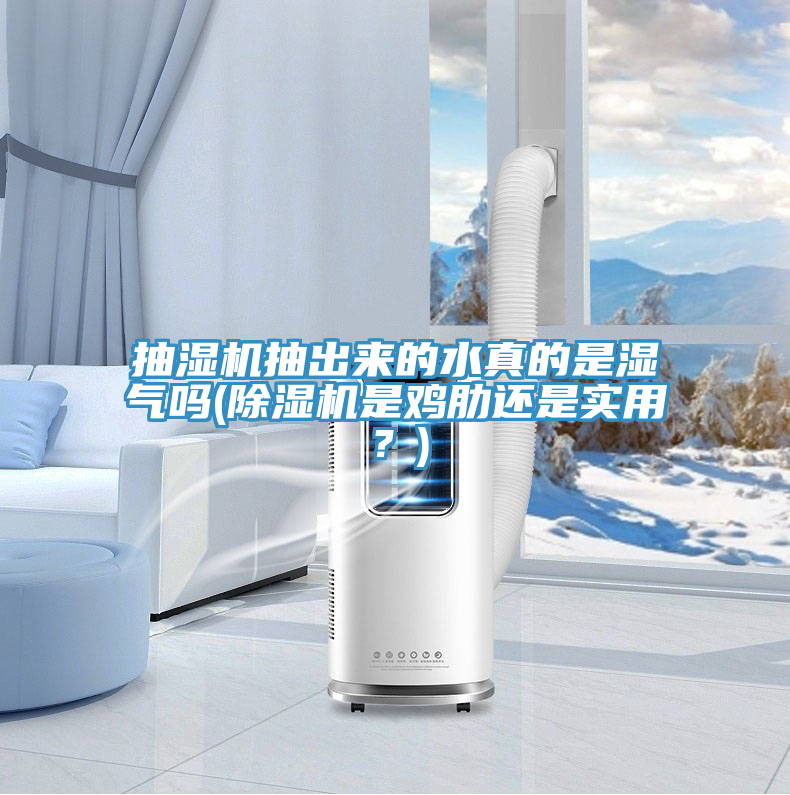 抽濕機抽出來的水真的是濕氣嗎(91看片软件大全是雞肋還是實用？)