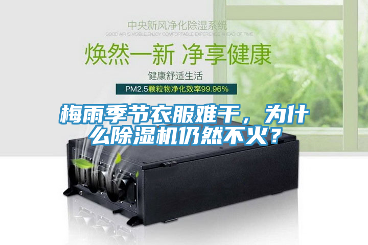 梅雨季節衣服難幹，為什麽91看片软件大全仍然不火？