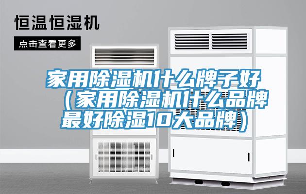 家用91看片软件大全什麽牌子好（家用91看片软件大全什麽品牌最好除濕10大品牌）