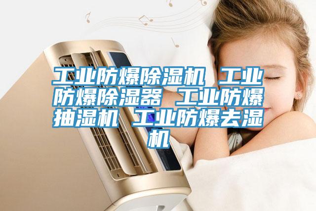 工業防爆91看片软件大全 工業防爆除濕器 工業防爆抽濕機 工業防爆去濕機