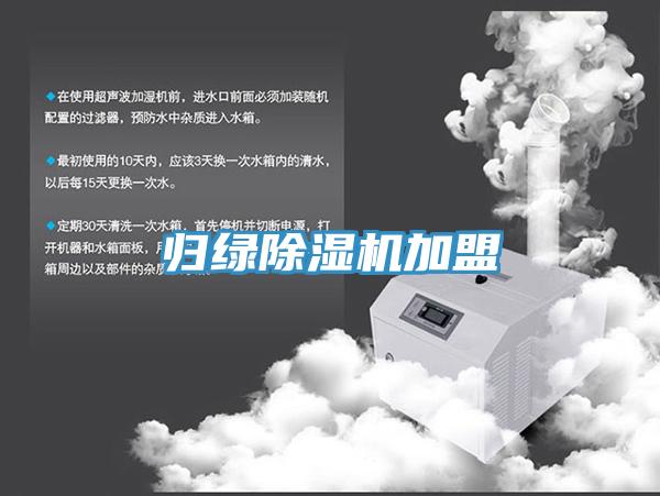 歸綠91看片软件大全加盟