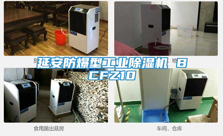 延安防爆型工業91看片软件大全 BCFZ10