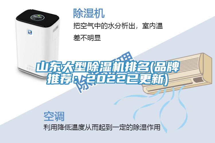 山東大型91看片软件大全排名(品牌推薦：2022已更新)