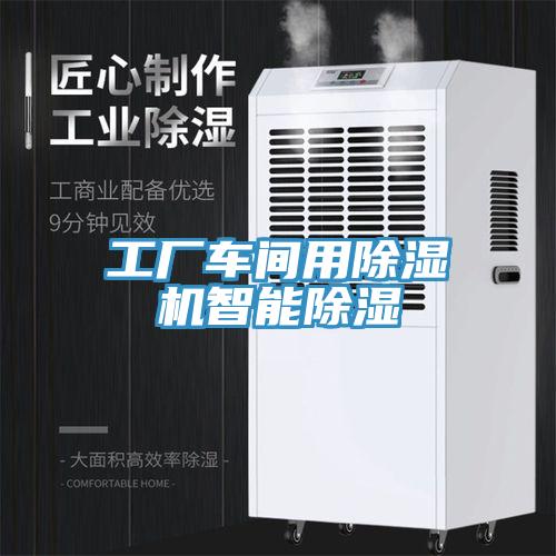 工廠車間用91看片软件大全智能除濕