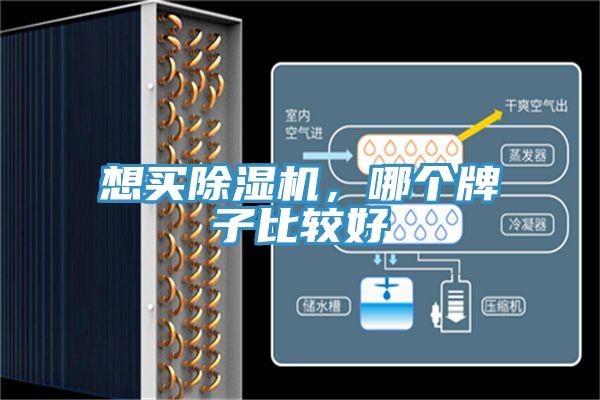 想買91看片软件大全，哪個牌子比較好