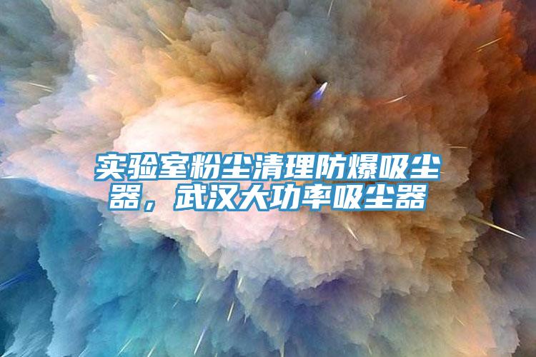 實驗室粉塵清理防爆吸塵器，武漢大功率吸塵器