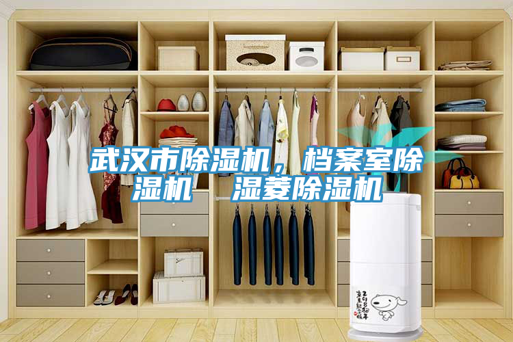 武漢市91看片软件大全，檔案室91看片软件大全  濕菱91看片软件大全