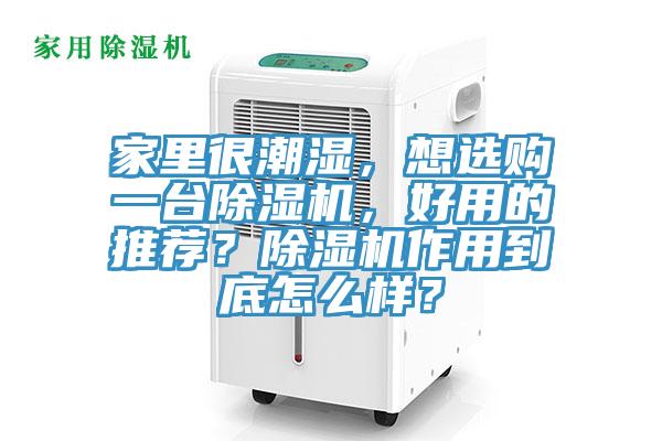 家裏很潮濕，想選購一台91看片软件大全，好用的推薦？91看片软件大全作用到底怎麽樣？