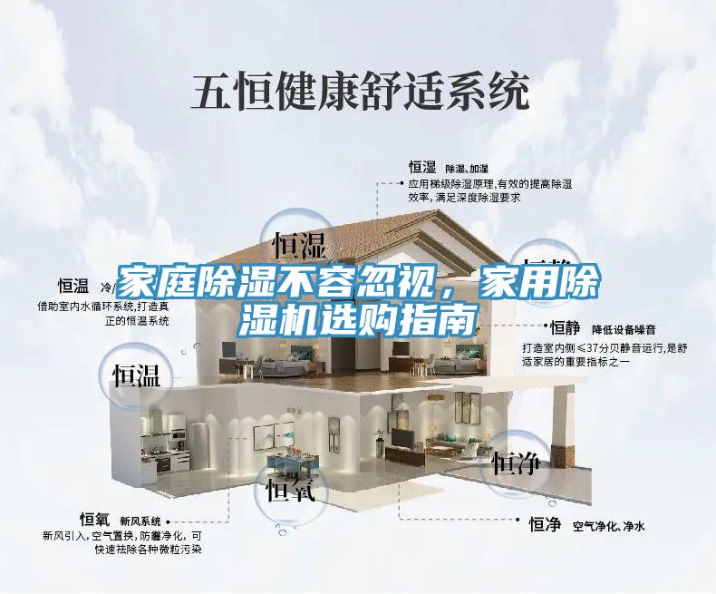 家庭除濕不容忽視，家用91看片软件大全選購指南