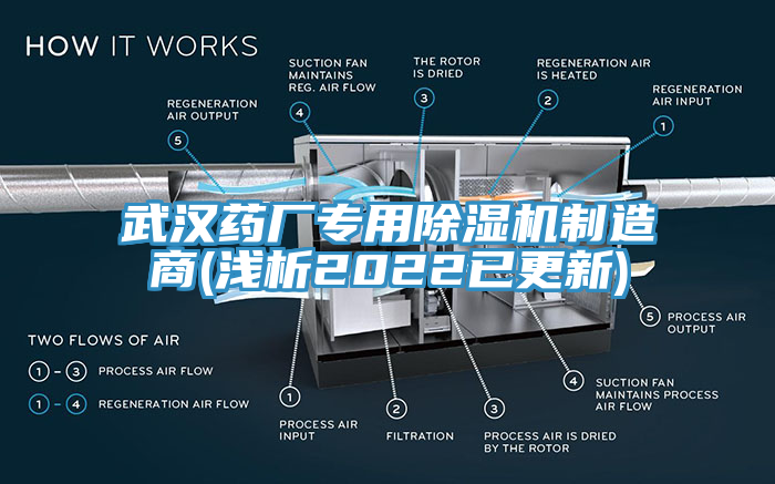 武漢藥廠專用91看片软件大全製造商(淺析2022已更新)