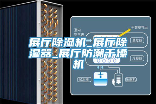 展廳91看片软件大全_展廳除濕器_展廳防潮幹燥機