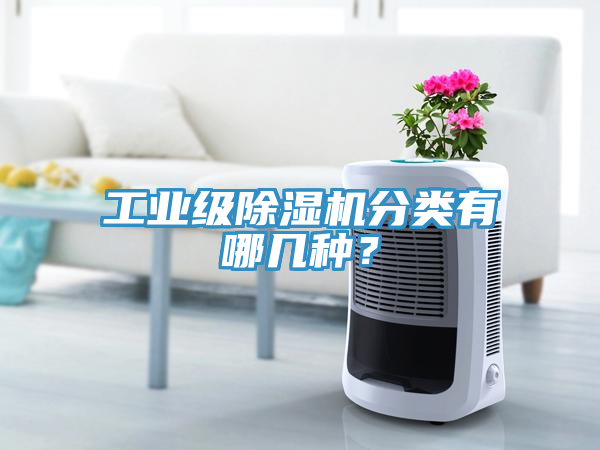 工業級91看片软件大全分類有哪幾種？