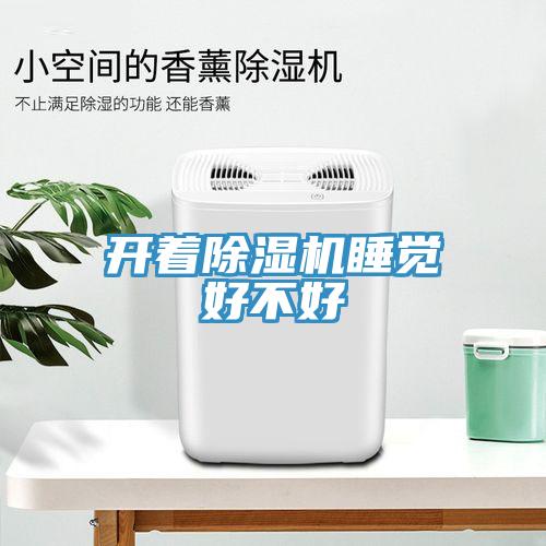 開著91看片软件大全睡覺好不好