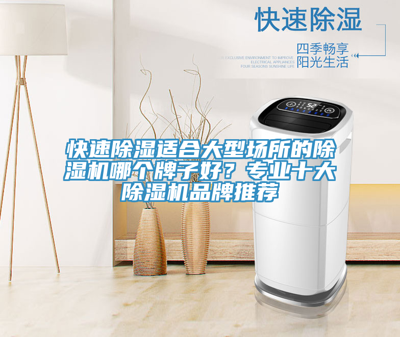 快速除濕適合大型場所的91看片软件大全哪個牌子好？專業十大91看片软件大全品牌推薦