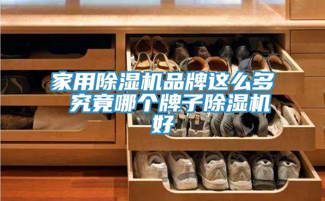 家用91看片软件大全品牌這麽多 究竟哪個牌子91看片软件大全好