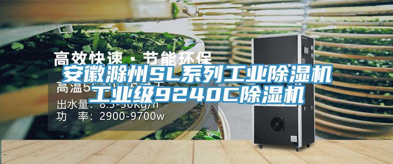 安徽滁州SL係列工業91看片软件大全工業級9240C91看片软件大全