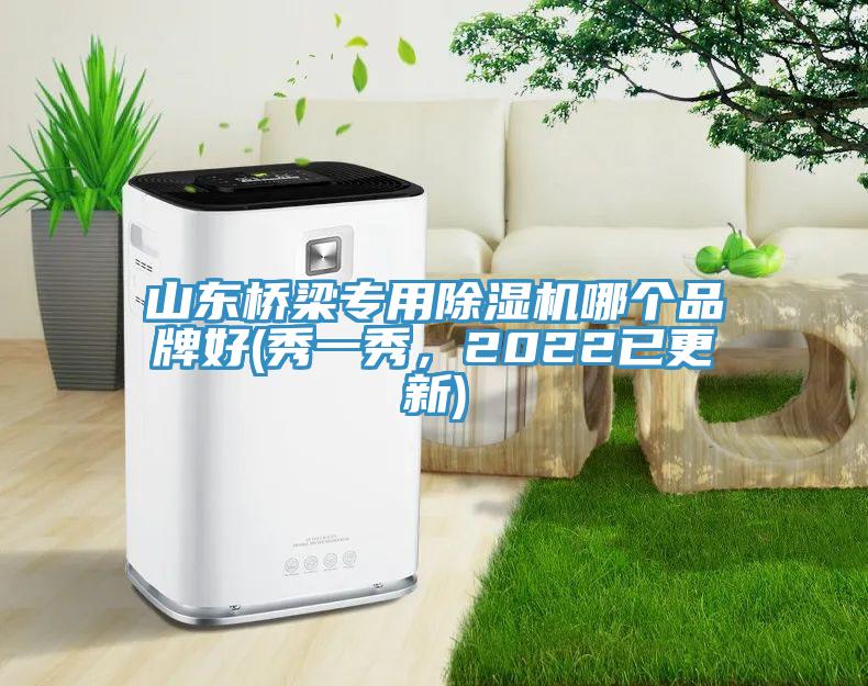 山東橋梁專用91看片软件大全哪個品牌好(秀一秀，2022已更新)