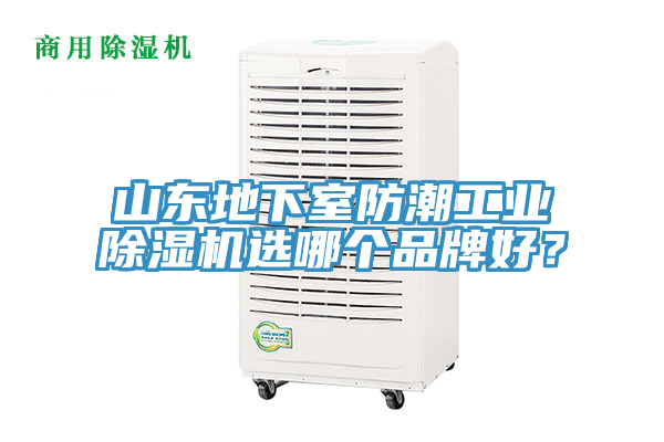山東地下室防潮工業91看片软件大全選哪個品牌好？