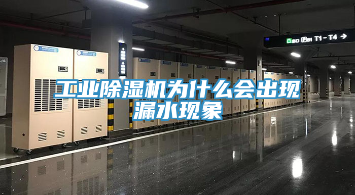 工業91看片软件大全為什麽會出現漏水現象